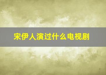 宋伊人演过什么电视剧