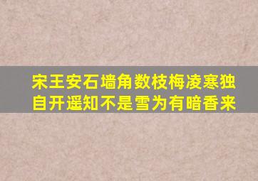 宋王安石墙角数枝梅凌寒独自开遥知不是雪为有暗香来