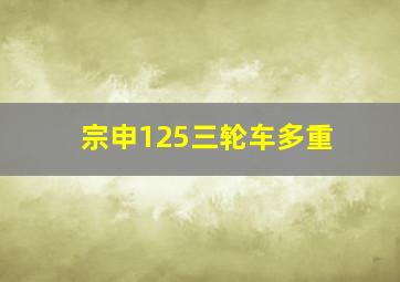 宗申125三轮车多重