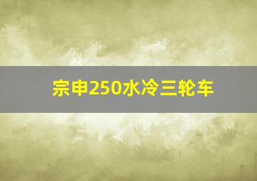 宗申250水冷三轮车