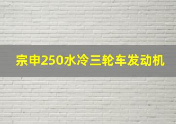 宗申250水冷三轮车发动机