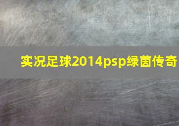 实况足球2014psp绿茵传奇