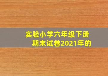 实验小学六年级下册期末试卷2021年的