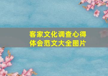 客家文化调查心得体会范文大全图片