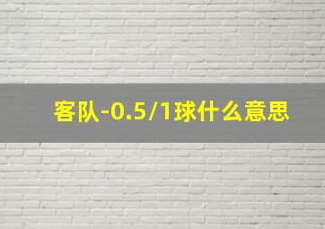 客队-0.5/1球什么意思