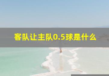 客队让主队0.5球是什么