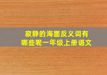 寂静的海面反义词有哪些呢一年级上册语文