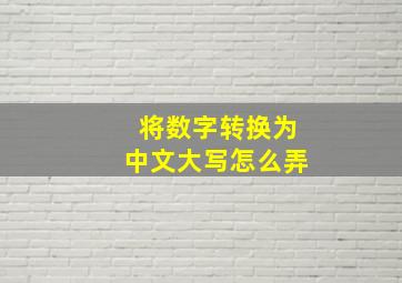 将数字转换为中文大写怎么弄