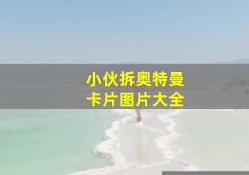 小伙拆奥特曼卡片图片大全