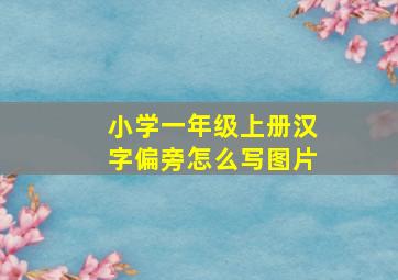 小学一年级上册汉字偏旁怎么写图片