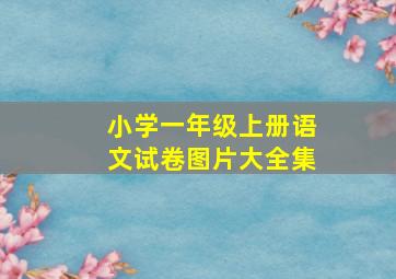 小学一年级上册语文试卷图片大全集