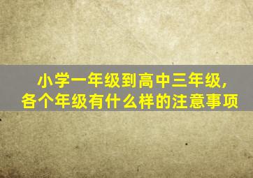 小学一年级到高中三年级,各个年级有什么样的注意事项