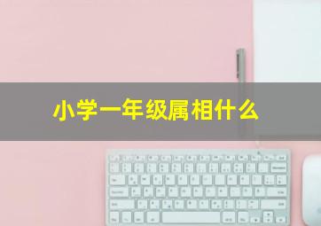 小学一年级属相什么