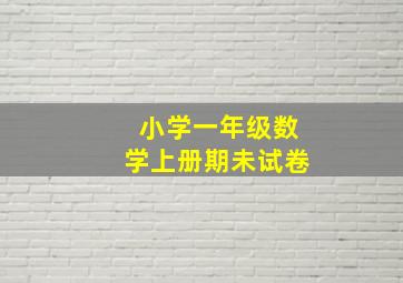 小学一年级数学上册期未试卷