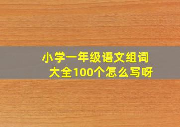 小学一年级语文组词大全100个怎么写呀