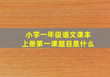 小学一年级语文课本上册第一课题目是什么