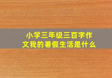 小学三年级三百字作文我的暑假生活是什么