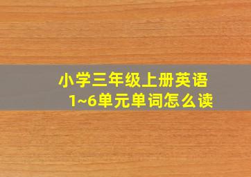 小学三年级上册英语1~6单元单词怎么读