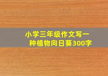 小学三年级作文写一种植物向日葵300字