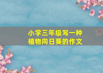 小学三年级写一种植物向日葵的作文