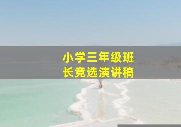 小学三年级班长竞选演讲稿