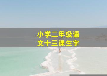 小学二年级语文十三课生字