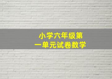 小学六年级第一单元试卷数学