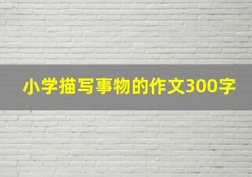 小学描写事物的作文300字