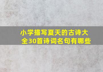 小学描写夏天的古诗大全30首诗词名句有哪些