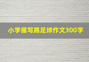 小学描写踢足球作文300字