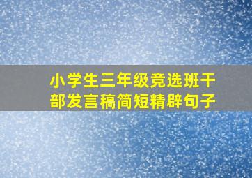 小学生三年级竞选班干部发言稿简短精辟句子