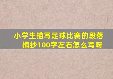 小学生描写足球比赛的段落摘抄100字左右怎么写呀