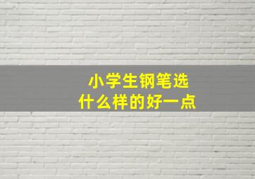 小学生钢笔选什么样的好一点