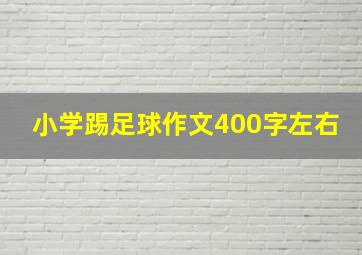 小学踢足球作文400字左右