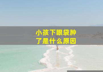 小孩下眼袋肿了是什么原因