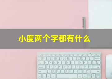 小度两个字都有什么