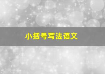 小括号写法语文