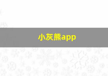 小灰熊app