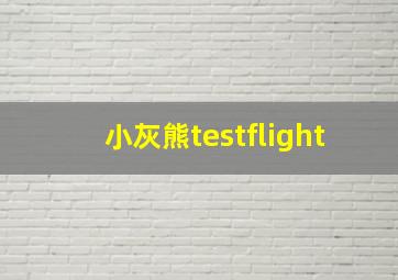 小灰熊testflight