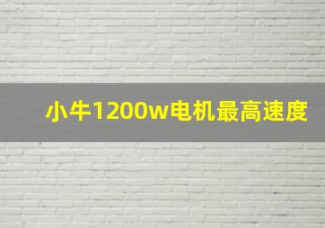 小牛1200w电机最高速度