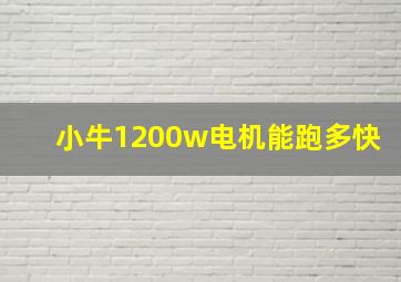 小牛1200w电机能跑多快