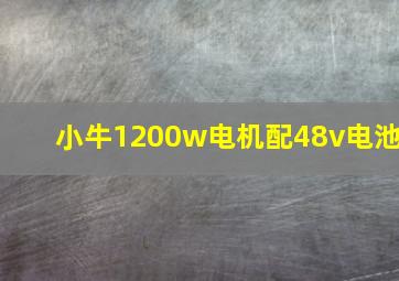 小牛1200w电机配48v电池