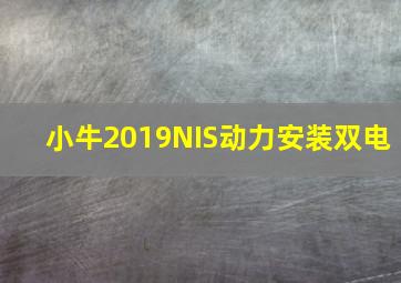 小牛2019NIS动力安装双电