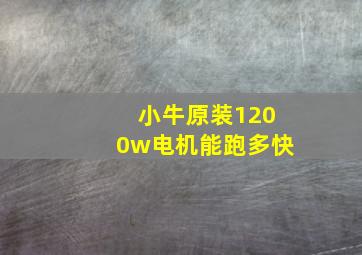 小牛原装1200w电机能跑多快