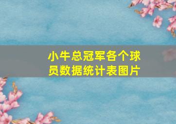 小牛总冠军各个球员数据统计表图片