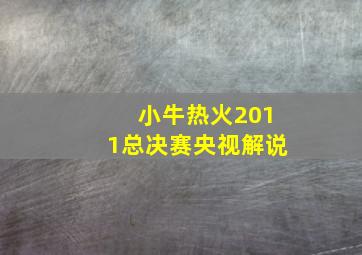 小牛热火2011总决赛央视解说