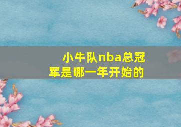 小牛队nba总冠军是哪一年开始的