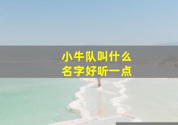 小牛队叫什么名字好听一点