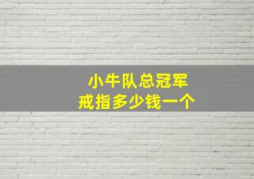 小牛队总冠军戒指多少钱一个