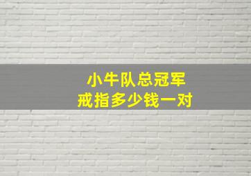 小牛队总冠军戒指多少钱一对